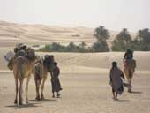 Oasis de La Gueïla